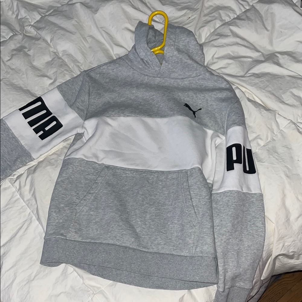 Puma Gray Hoodie